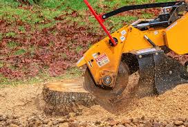 Best Tree Risk Assessment  in Royal City, WA