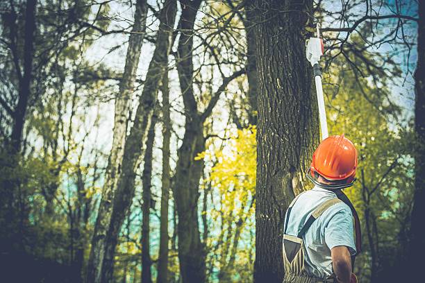 Best Soil Testing and Treatment  in Royal City, WA